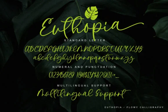 Euthopia Font by Fourlines.design — Script Handwritten Font — thumbnail 7
