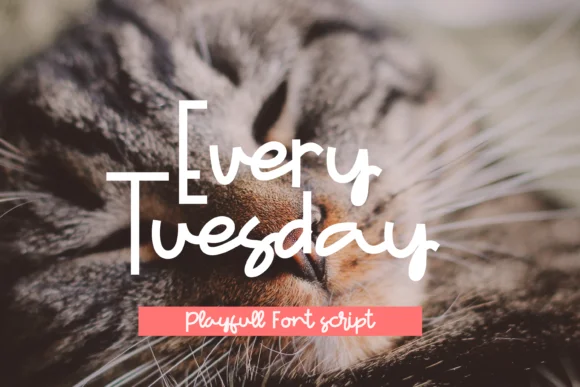 Every Tuesday Font by Ongtype co. — Script Handwritten Font