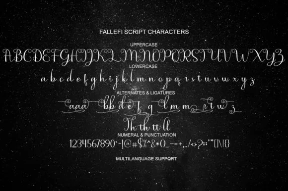 Fallefi Font by akifatype — Script Handwritten Font — thumbnail 5