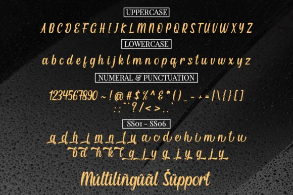 Fanday Font by Mytype Studio — Script Handwritten Font — thumbnail 8
