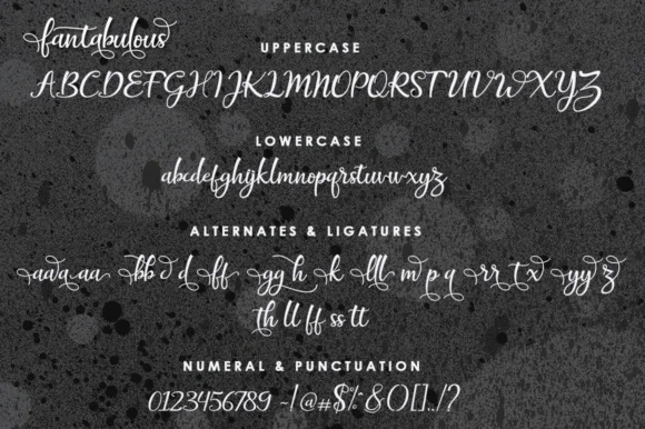 Fantabulous Font by akifatype — Script Handwritten Font — thumbnail 7