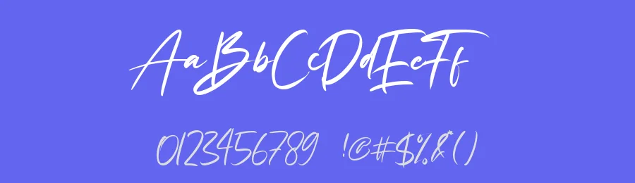 Fany Alleya by StringLabs Creative Studio — Script Handwritten Font — thumbnail 3