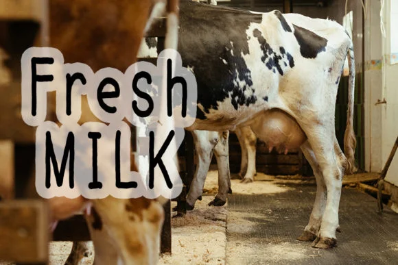 Farmhouse Font by FL Space by FL Space — Script Handwritten Font — thumbnail 4
