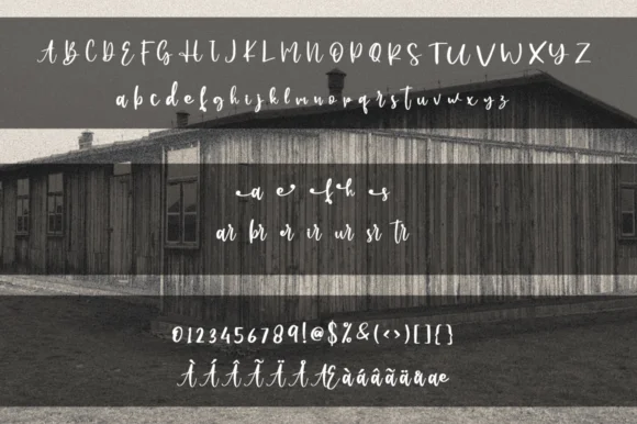 Farmhouse Shunsine Font by Gatra Std — Script Handwritten Font — thumbnail 7