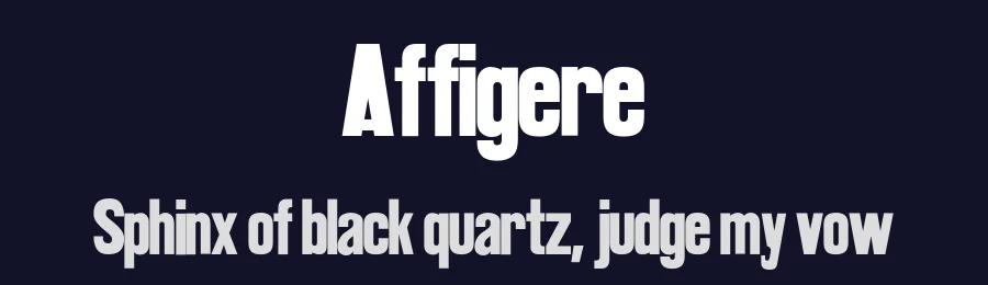 Affigere by Romain Laurent, Daphné Lejeune, Alexandre D'Hubert — Sans Serif Font — thumbnail 2