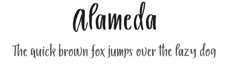 Alameda by Area Type — Script Handwritten Font