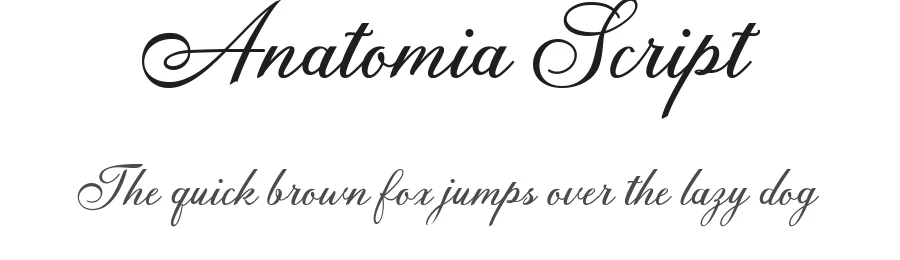 Anatomia Script by DoeL Creative — Script Handwritten Font