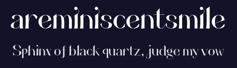 areminiscentsmile by Yoo Ji Hun — Serif Font — thumbnail 2