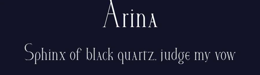 Arina by Mikhail Vlasov — Serif Font — thumbnail 2