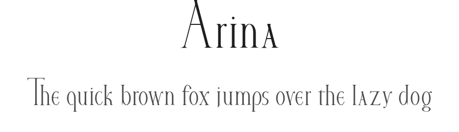 Arina by Mikhail Vlasov — Serif Font