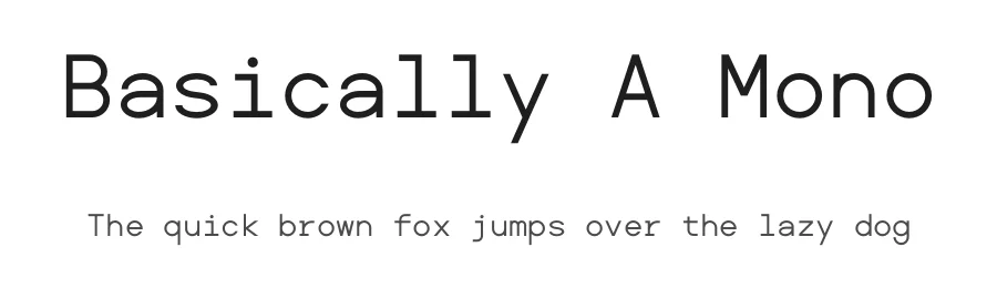 Basically A Mono by Hyung-Suk Kim — Serif Font