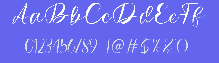 Batfide Signature — Script Handwritten Font — thumbnail 3