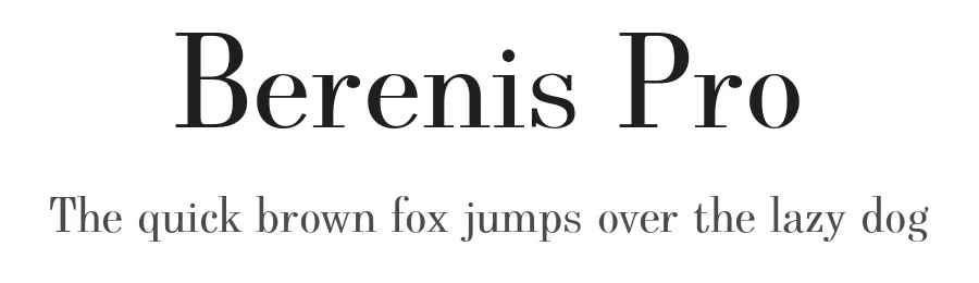 Berenis Pro by HARENDAL Hirwen — Serif Font