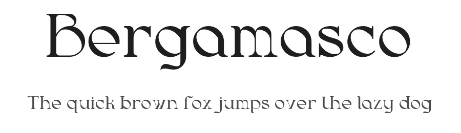 Bergamasco by Dimitri Antonov — Serif Font