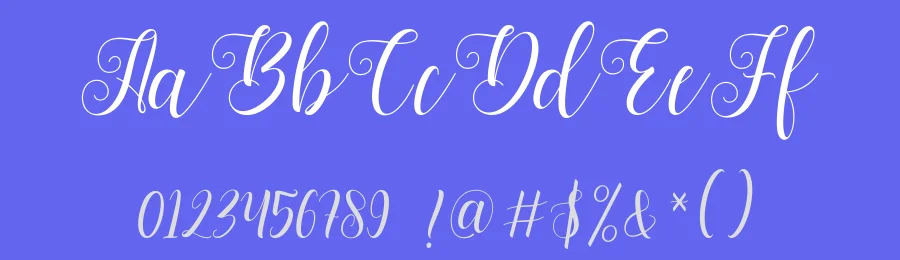 Bertiga Script by Rudistudio — Script Handwritten Font — thumbnail 3