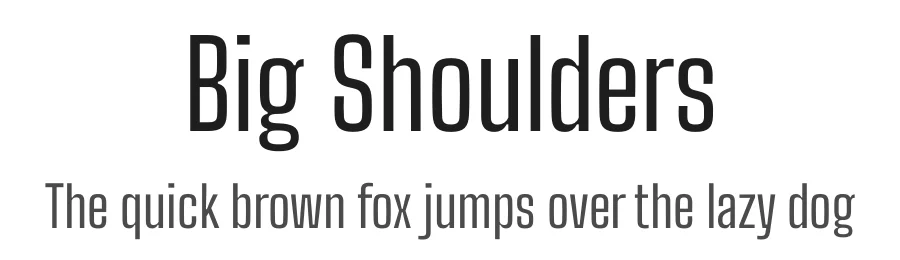 Big Shoulders by Patric King — Sans Serif Font