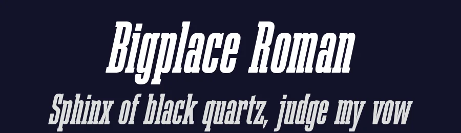 Bigplace Roman by Fernando Haro — Slab Serif Font — thumbnail 2