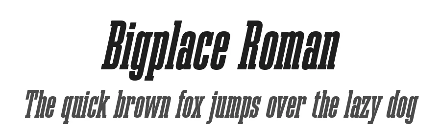 Bigplace Roman by Fernando Haro — Slab Serif Font
