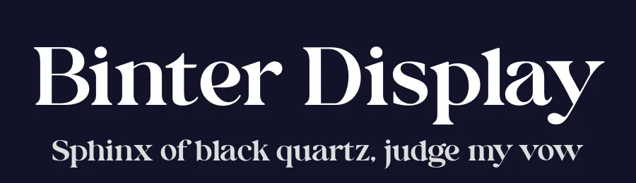 Binter Display by Areatype — Serif Font — thumbnail 2