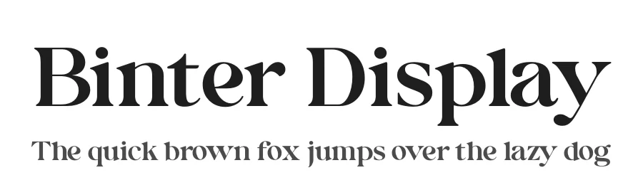 Binter Display by Areatype — Serif Font