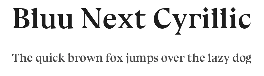 Bluu Next Cyrillic by Igor Stepanchenko — Serif Font