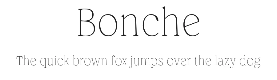 Bonche by Nasir Udin — Serif Font
