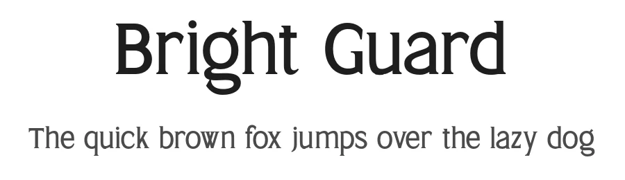 Bright Guard by Neo Type β Serif Font