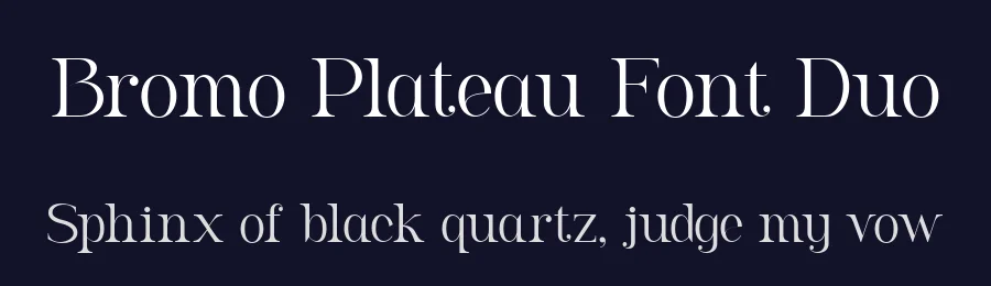 Bromo Plateau Font Duo by Zeenesia 2021 — Script Handwritten Font — thumbnail 2