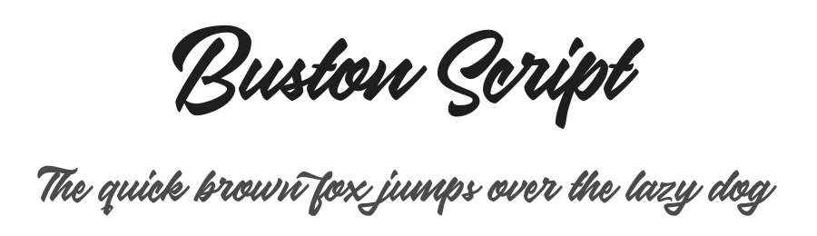 Buston Script by Hendra Maulia β Script Handwritten Font