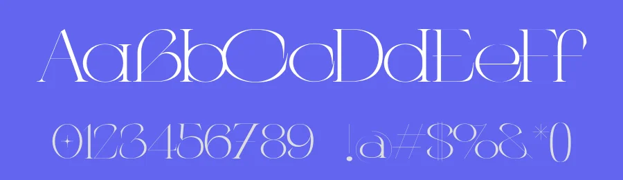 C4 Type by BOEM — Serif Font — thumbnail 3
