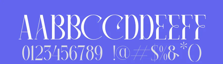 Camaroon Megalord by Heru Utama Putra — Serif Font — thumbnail 3