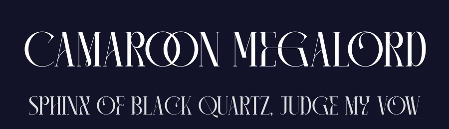 Camaroon Megalord by Heru Utama Putra — Serif Font — thumbnail 2