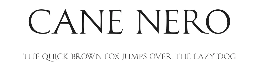 Cane Nero — Serif Font