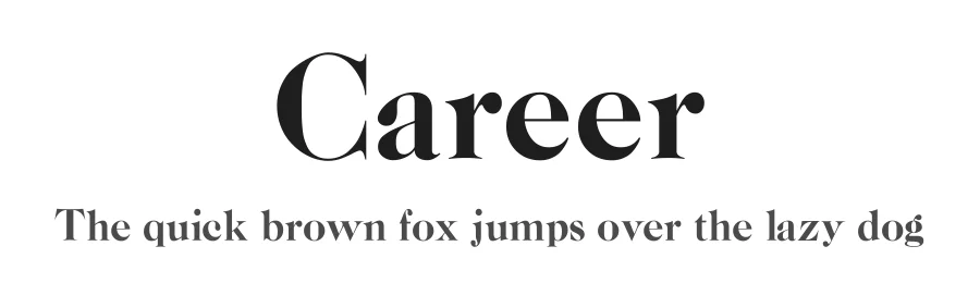 Career — Serif Font