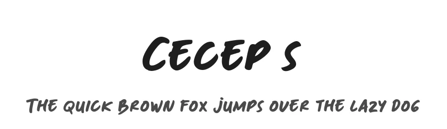 Cecep’s by Twicolabs Fontdation — Script Handwritten Font