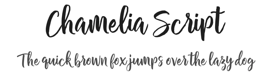 Chamelia Script by Area Type — Script Handwritten Font