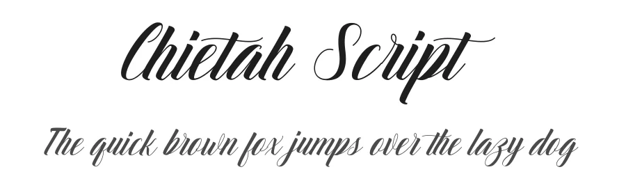 Chietah Script by polem — Script Handwritten Font
