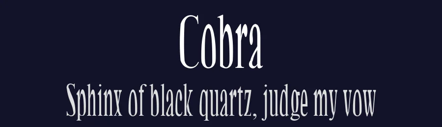 Cobra — Serif Font — thumbnail 2