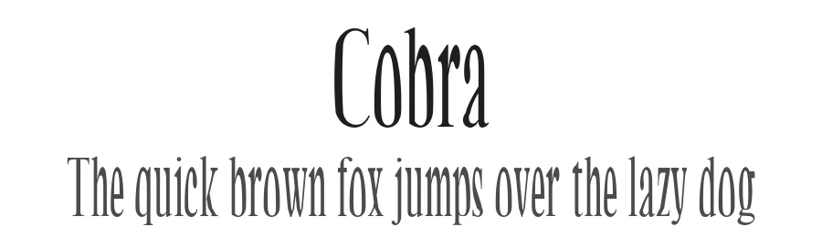 Cobra — Serif Font