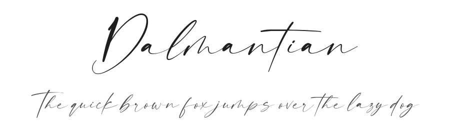 Dalmantian — Script Handwritten Font