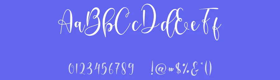 Delisha Script by Nisa Nana — Script Handwritten Font — thumbnail 3