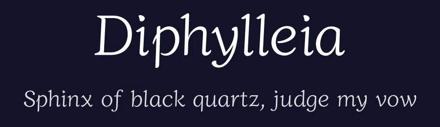 Diphylleia by Minha Hyung — Serif Font — thumbnail 2