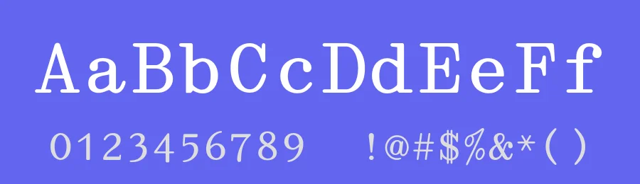 Director by May Jolivet et Justine Herbel — Serif Font — thumbnail 3
