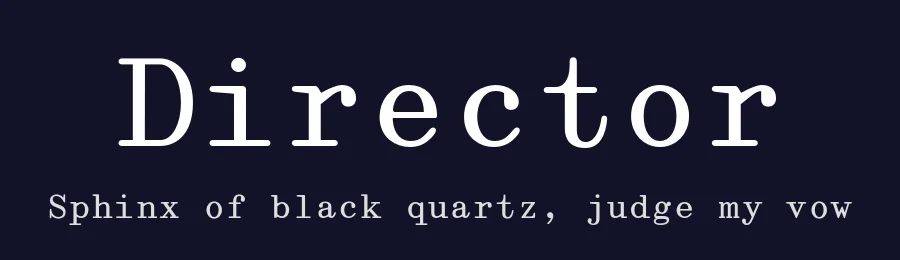 Director by May Jolivet et Justine Herbel — Serif Font — thumbnail 2