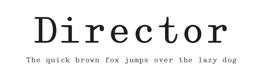 Director by May Jolivet et Justine Herbel — Serif Font