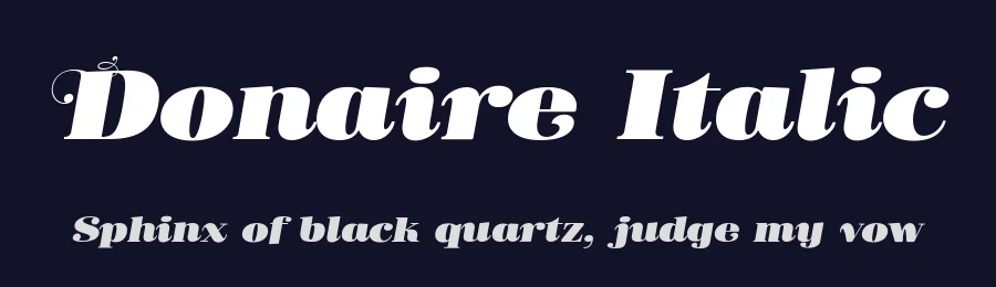 Donaire Italic by Fernando Haro — Serif Font — thumbnail 2