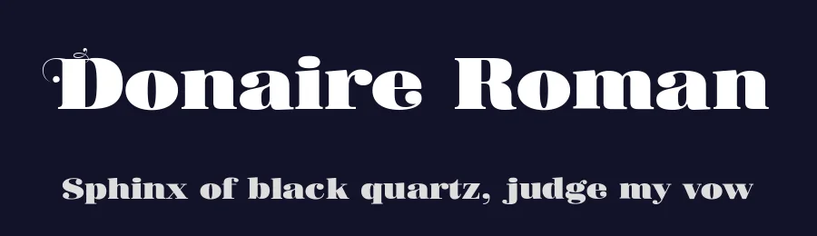 Donaire Roman by Fernando Haro — Serif Font — thumbnail 2