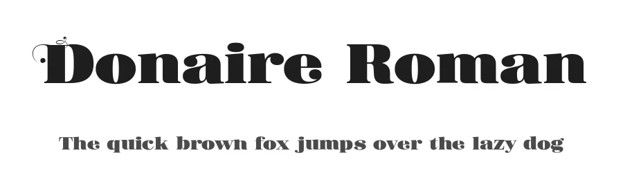 Donaire Roman by Fernando Haro — Serif Font