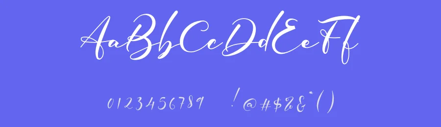 Elmira Script by Nisa Nana — Script Handwritten Font — thumbnail 3