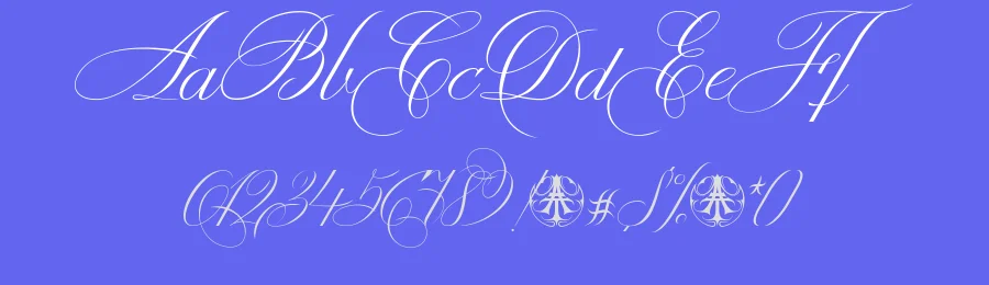Enica by Eni.Calligraphy X TypeAliens — Script Handwritten Font — thumbnail 3